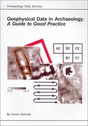 Geophysical data in archaeology : a guide to good practice