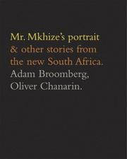 Mr. Mkhize's portrait & other stories from the new South Africa