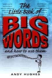 The Little Book of Big Words by Andy Hughes
