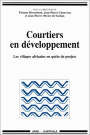 Cover of: Courtiers en développement: les villages africains en quête de projets