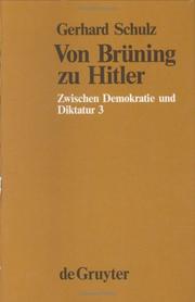 Cover of: Zwischen Demokratie und Diktatur: Verfassungspolitik und Reichsreform in der Weimarer Republik
