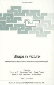 Shape in picture : mathematical description of shape in grey-level images