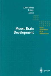 Mouse brain development