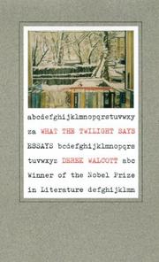Cover of: What the twilight says: essays
