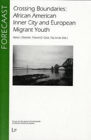 Crossing boundaries : African American inner city and European migrant youth