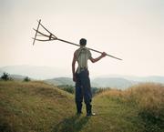 Beyond the forest : about a people believed to be the descendants of the children that were led out of Hamelin