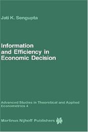 Information and efficiency in economic decision