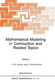 Mathematical modeling in combustion and related topics