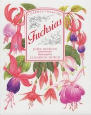 Fuchsias