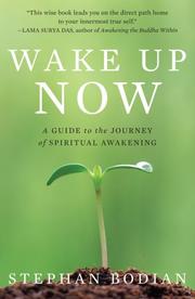 Wake up now : a guide to the journey of spiritual awakening