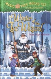 Cover of: Winter of the ice wizard