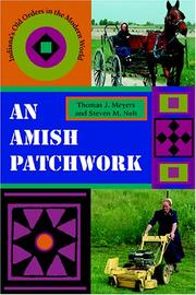 Cover of: An Amish Patchwork: Indiana's Old Orders In The Modern World
