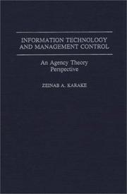 Information technology and management control : an agency theory perspective