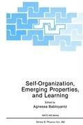 Self-organization, emerging properties, and learning