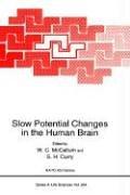 Slow potential changes in the human brain