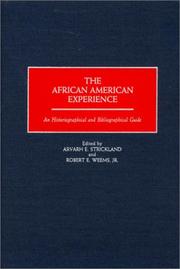 Cover of: The African American Experience: An Historiographical and Bibliographical Guide