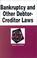 Cover of: Bankruptcy and other debtor-creditor laws in a nutshell