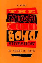 Cover of: The multicultiboho sideshow