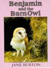 Benjamin and the barn owl