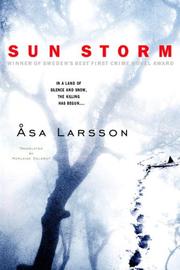 Cover of: Sun Storm