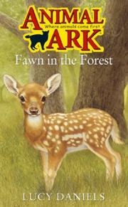 Fawn in the forest
