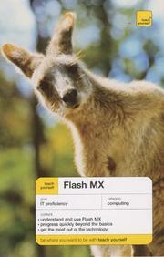 Flash MX 2004