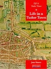 Life in a Tudor town