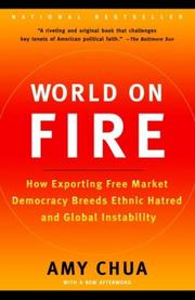 Cover of: World on Fire: how exporting free market democracy breeds ethnic hatred and global instability