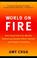 Cover of: World on fire