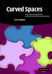 Curved Spaces by P. M. H. Wilson