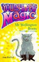 Mr Wellington Boots : three magical cat stories