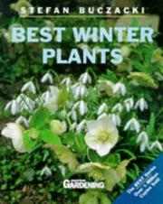 Best winter plants