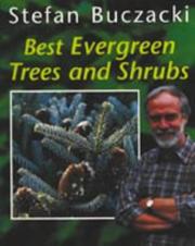 Best evergreen trees and shrubs