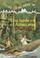 Cover of: Tarde En El Amazonas/afternoon On The Amazon (Magic Tree House in Spanish)