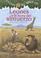 Cover of: Leones a La Hora Del Almuerzo/lions at Lunchtime (Magic Tree House in Spanish)