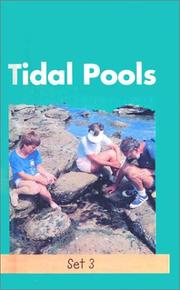 Tidal Pools by Meredith Costain