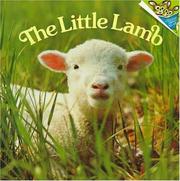 Cover of: The little lamb
