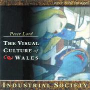 The visual culture of Wales. Industrial society