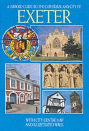 A Jarrold guide to the Cathedral and City of Exeter : with city centre map and illustrated walk