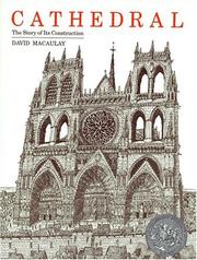 Cover of: Cathedral: the story of its construction. by David Macaulay