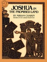 Joshua in the Promised Land by Miriam Chaikin