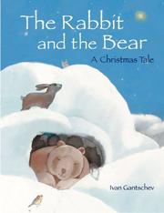 The rabbit and the bear : a Christmas tale