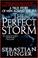 Cover of: The Perfect Storm