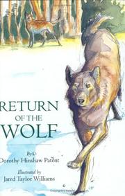 Cover of: Retu rn of the wolf by Dorothy Hinshaw Patent