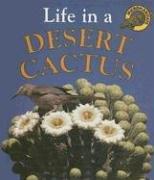 Cover of: Life in a Desert Cactus (Microhabitats)