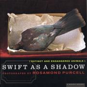 Cover of: Swift as a shadow: extinct and endangered animals