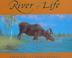 Cover of: River of life