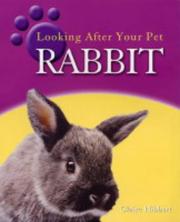Looking after your pet rabbit