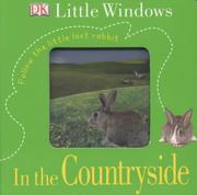 In the countryside : follow the little lost rabbit