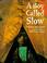 Cover of: A boy called Slow